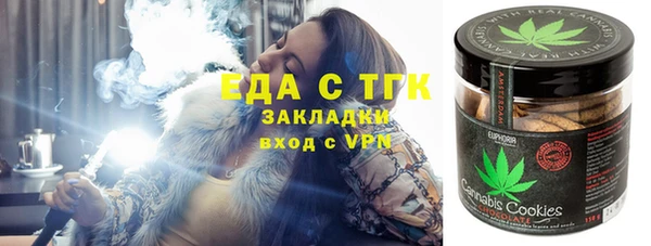 индика Алексин
