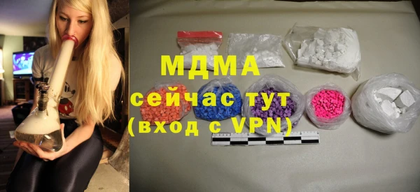 индика Алексин