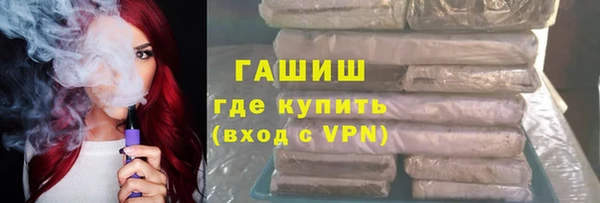 индика Алексин