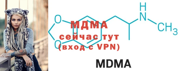 индика Алексин