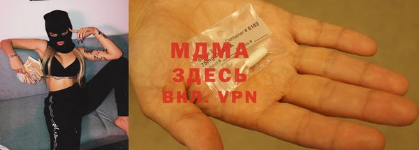 индика Алексин