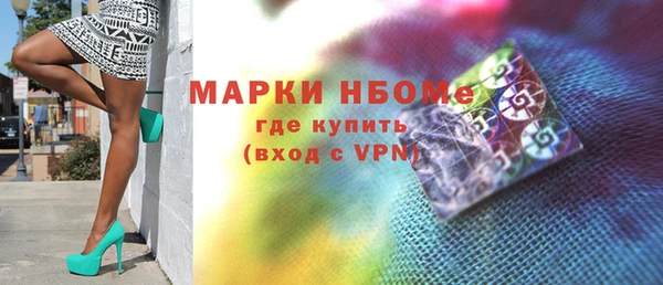 индика Алексин