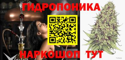 Альфа ПВП Абакан
