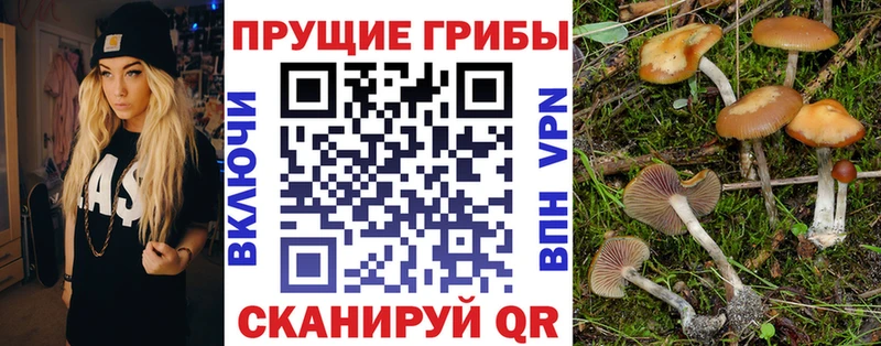 Галлюциногенные грибы прущие грибы Санкт-Петербург