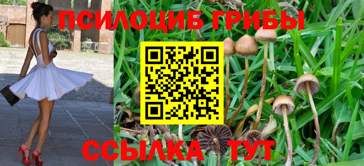 Санкт-Петербург  Галлюциногенные грибы MAGIC MUSHROOMS  Вход с VPN 