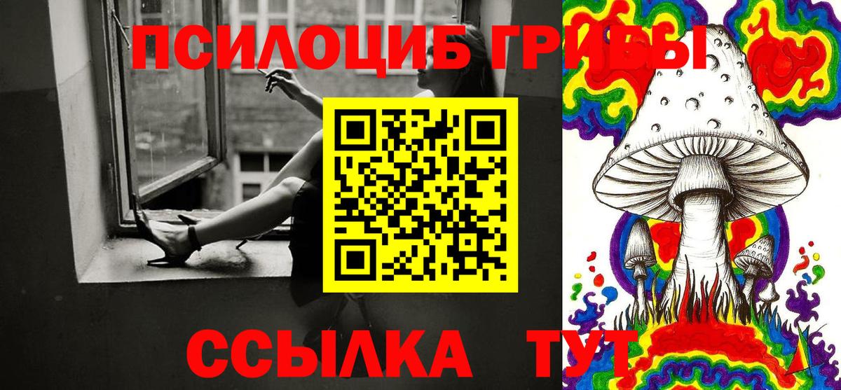 Псилоцибиновые грибы MAGIC MUSHROOMS  Псилоцибиновые грибы мицелий  Вход с VPN  Санкт-Петербург 