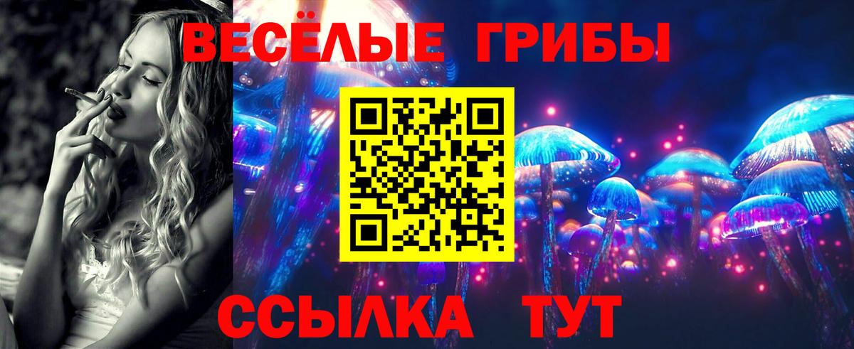 Псилоцибиновые грибы прущие грибы Санкт-Петербург