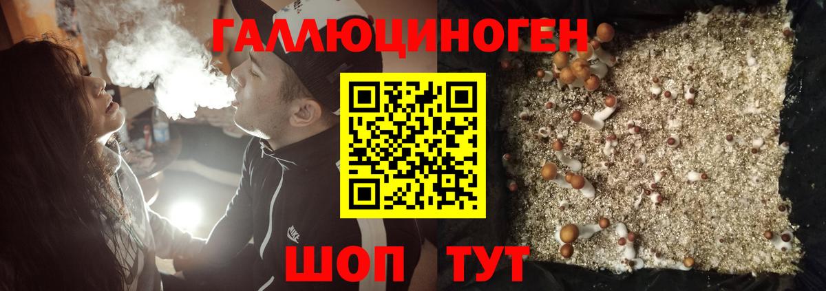 Псилоцибиновые грибы GOLDEN TEACHER Санкт-Петербург