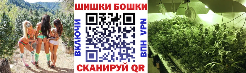 МАРИХУАНА план  закладка  Санкт-Петербург 